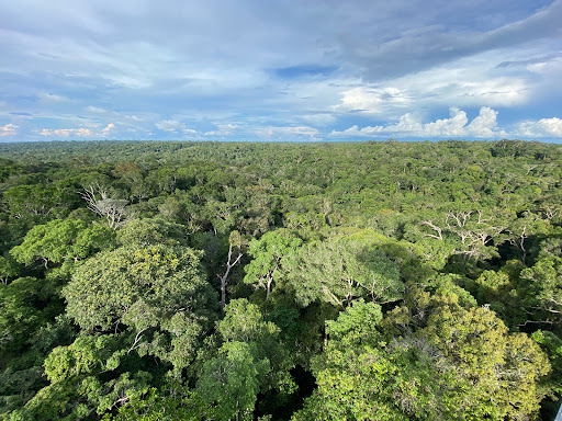 Parque nacional Manaus
