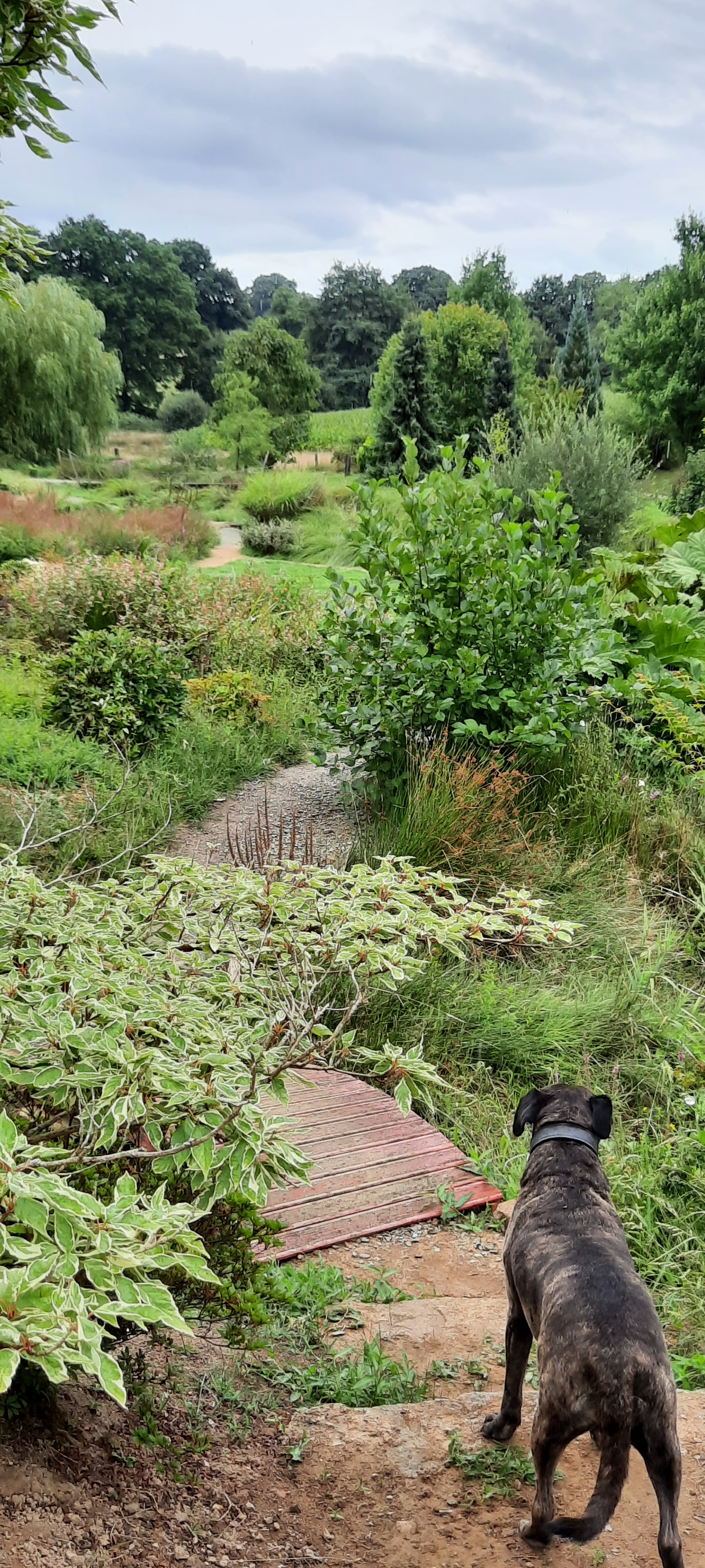 Photo n° 2 de l'avis de iona.a fait le 23/08/2022 à 13:31