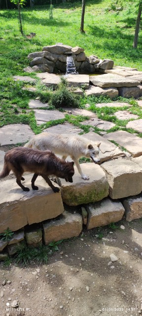 Photo n° 6 de l'avis de Sebastien.o fait le 02/05/2023 à 21:59