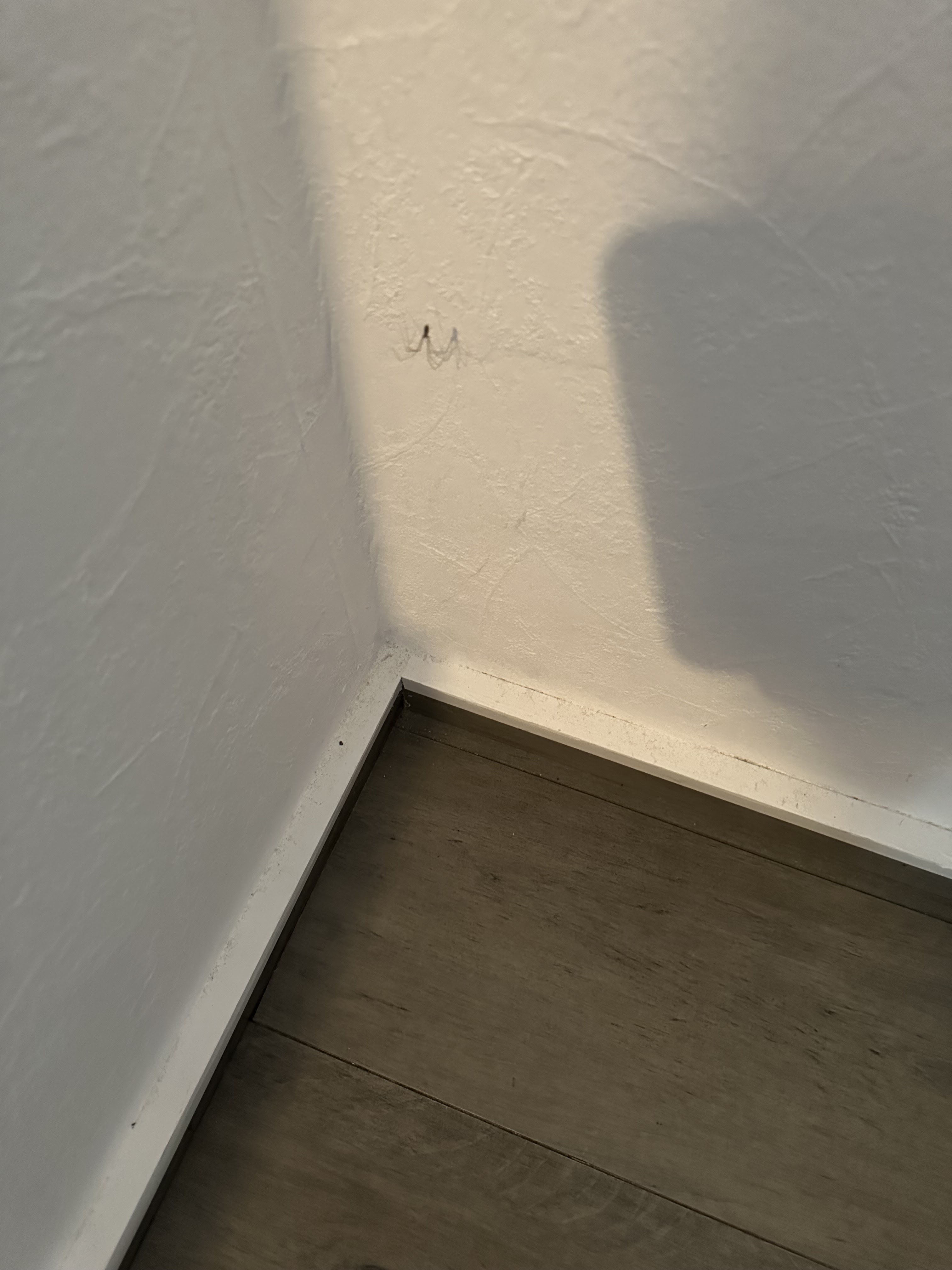 Photo n° 8 de l'avis de Ninou. fait le 12/08/2023 à 19:05