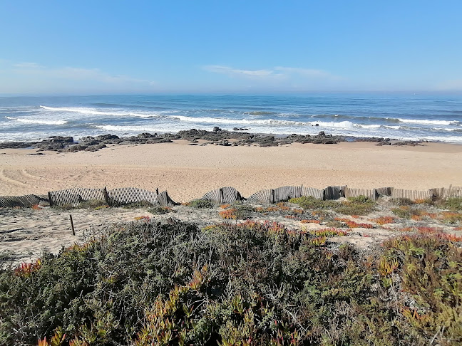 Avaliações doPraia do Atlântico em Porto - Agência de viagens