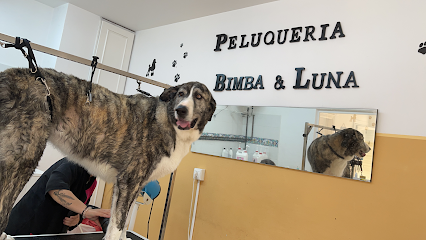 Peluqueria Canina - Bimba y luna - Servicios para mascota en Estación de Cártama