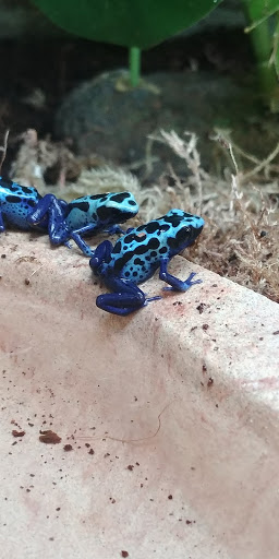 Pet Supply Store «Petco Animal Supplies», reviews and photos, 220 Maine Mall Rd, South Portland, ME 04106, USA