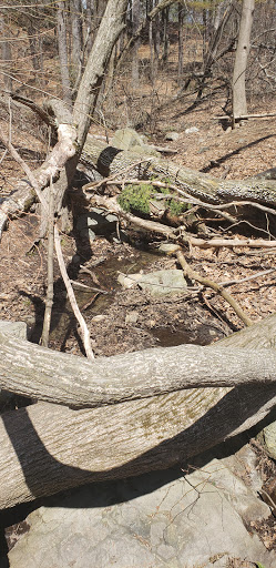 Park «Town of Arlington Menotomy Rocks Park», reviews and photos, 129 Jason St, Arlington, MA 02476, USA