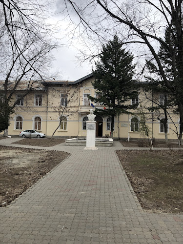Opinii despre Colegiul Național „Ștefan Velovan” în Dolj - Școală