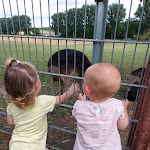 Photo n°1 de l'avis de Christina.r fait le 21/08/2021 à 20:15 sur le  Bonnheimer Hof à Hackenheim