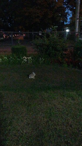 Park «Martin Bunky Reid Park», reviews and photos, Broadway Ave & Urban Ave, Westbury, NY 11590, USA