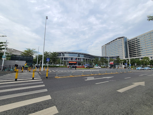 Shenzhen University General Hospital