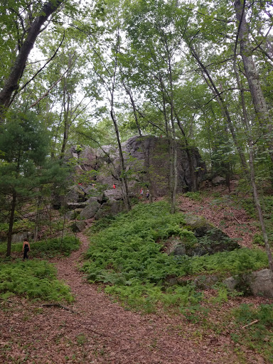 Hiking Area «Den Rock Park», reviews and photos, Stirling St, Andover, MA 01810, USA