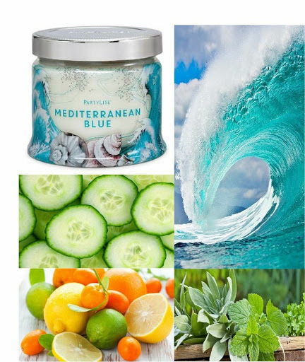 Florist «A & F Boutique LLC», reviews and photos, 13791 US-87, La Vernia, TX 78121, USA