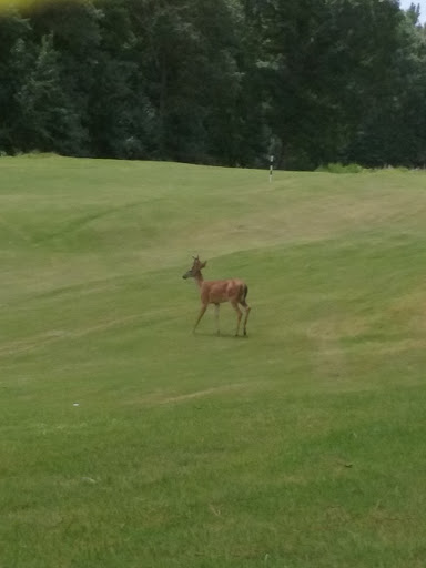 Golf Course «Coweta Club», reviews and photos, 300 Arbor Springs Pkwy, Newnan, GA 30265, USA