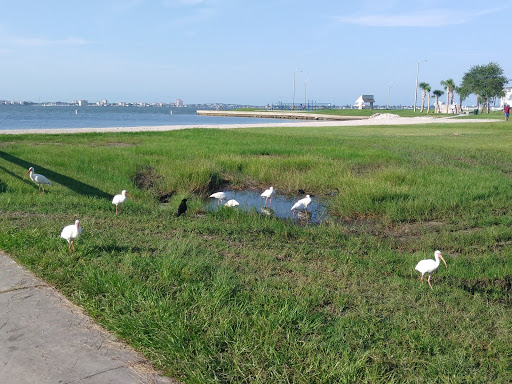 Recreation Center «Gulfport Recreation Center», reviews and photos, 5730 Shore Blvd S, Gulfport, FL 33707, USA