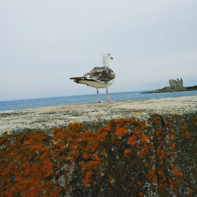 Parking Houat à Quiberon