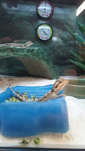 Pet Supply Store «Petco Animal Supplies», reviews and photos, 3636 Harrison Ave b, Butte, MT 59701, USA