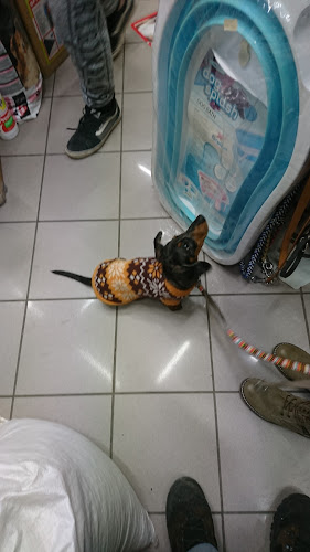 Pe és Ti Bt. - Sopron