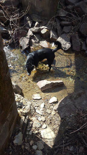 Park «Teegarden Park», reviews and photos, 440 Old State Rd, Berwyn, PA 19312, USA