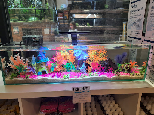 Tropical Fish Store «Fish Gallery», reviews and photos, 2909 Fountain View Dr, Houston, TX 77057, USA