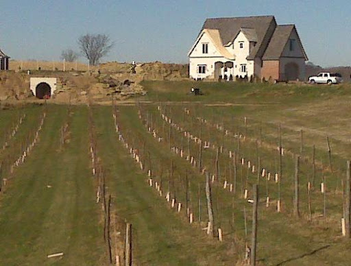Winery «Cottage Winery and Vineyard», reviews and photos, N7391 County Road F, Menomonie, WI 54751, USA