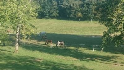 Comité Entreprise R A T P à Vicq-sur-Breuilh