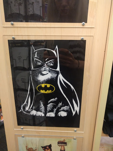 Book Store «Books-A-Million», reviews and photos, 163 Golden Isles Plaza, Brunswick, GA 31520, USA