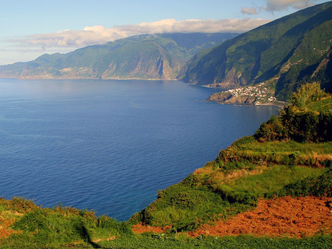 Dings Travels.com-Best Travel Agent in Madeira/Best Cab booking Service in Madeira