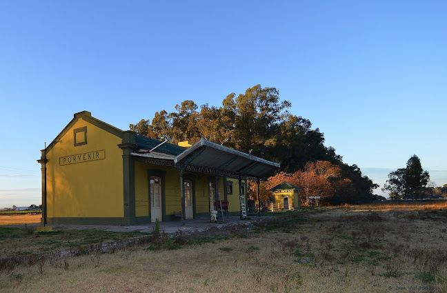 Comentarii opinii despre Porvenir