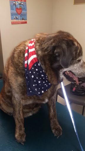 South County Veterinary Hospital image