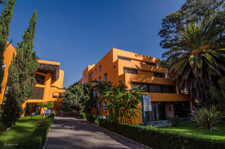 Instituto Nacional de Astrofísica
