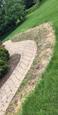 Crago's Pest Solutions and Home Inspections, LLC - Photo 2 - Car repair in , Youngstown