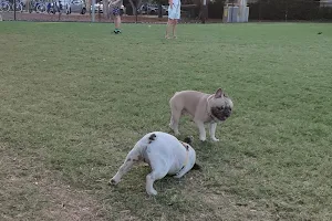 Powerhouse Park Off - Leash Doggy Playground image