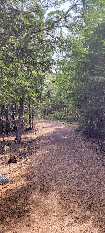 Woodland Trails Trailhead