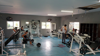 POWER GYM VILLA JUáREZ