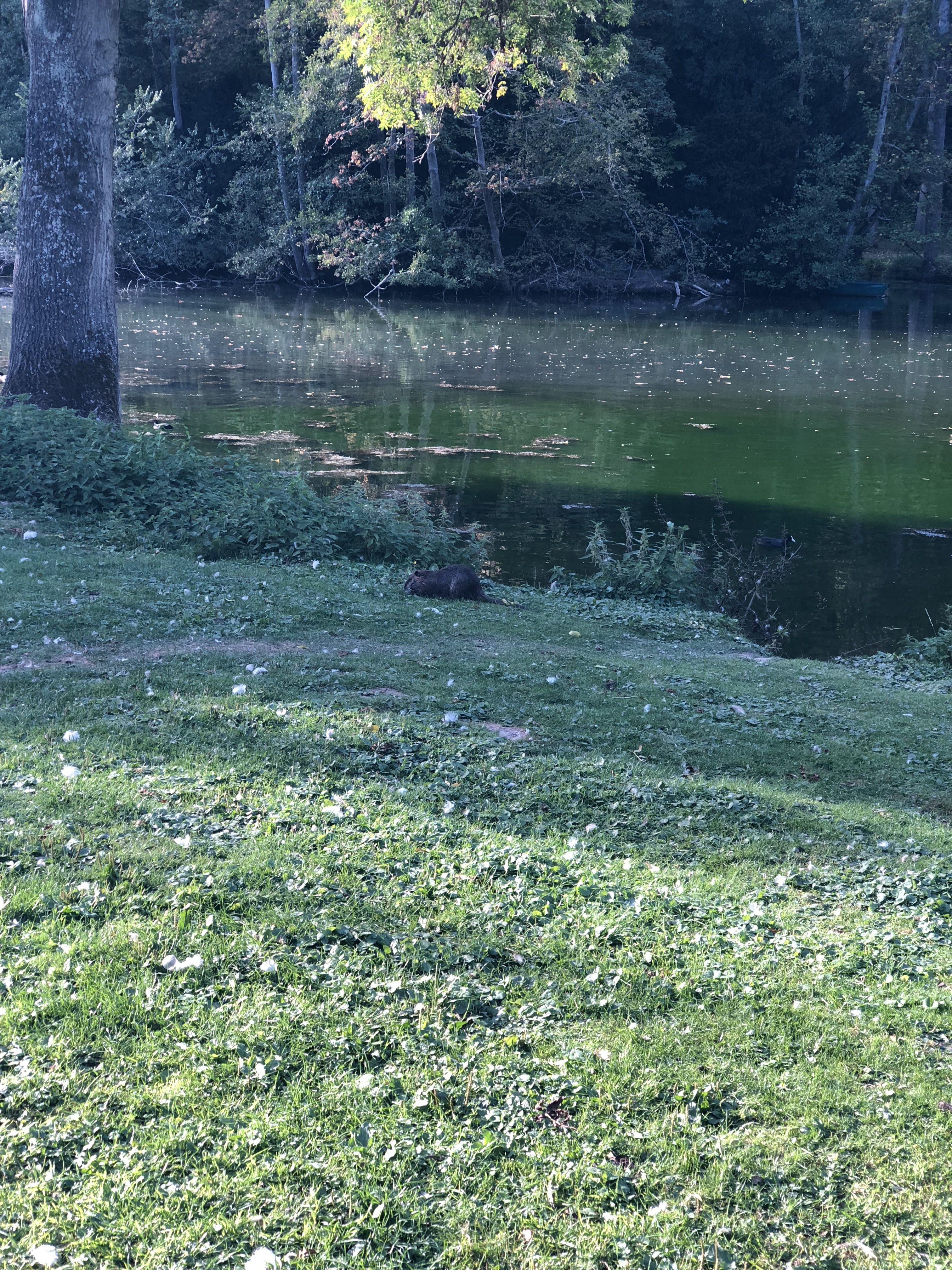 Photo n° 3 de l'avis de Mickael.e fait le 26/10/2018 à 05:07