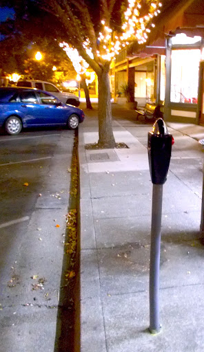 Tourist Attraction «Lonely Parking Meter», reviews and photos, 33 Main St, Winters, CA 95694, USA