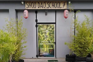 Shou Dao School - Scuola di Arti Marziali e Sport da Combattimento a Pontedera image