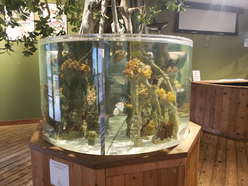 Aquarium «The River Center», reviews and photos, 805 US-1, Jupiter, FL 33477, USA