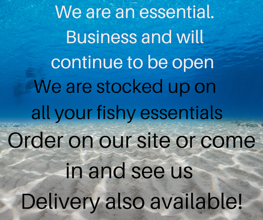 Pet Store «Colchester pet Shop LLC», reviews and photos, 111 Loomis Rd #2a, Colchester, CT 06415, USA