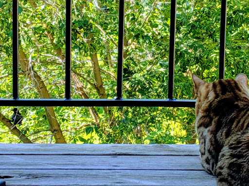 Pet Supply Store «Pawpular Companions Pet Supplies», reviews and photos, 21950 E Country Vista Dr, Liberty Lake, WA 99019, USA