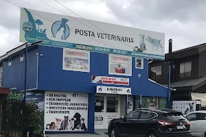 Posta veterinaria image