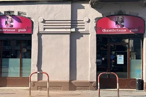 New Gambrinus Pub image