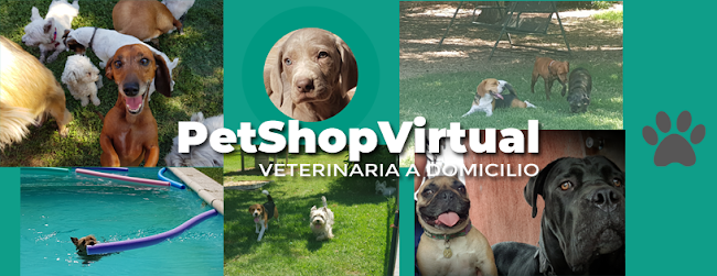Opiniones de Pet Shop Virtual en Peñalolén - Veterinario