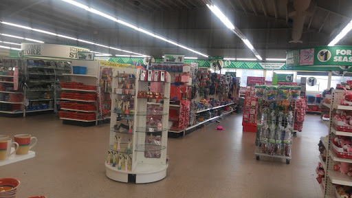 Dollar Store «Dollar Tree», reviews and photos, 1825 Salvio St, Concord, CA 94520, USA