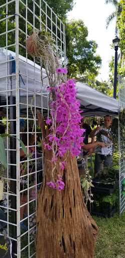 Rowing Club «Atlantic Coast Kayak Company», reviews and photos, 1937 Wilton Dr, Wilton Manors, FL 33305, USA