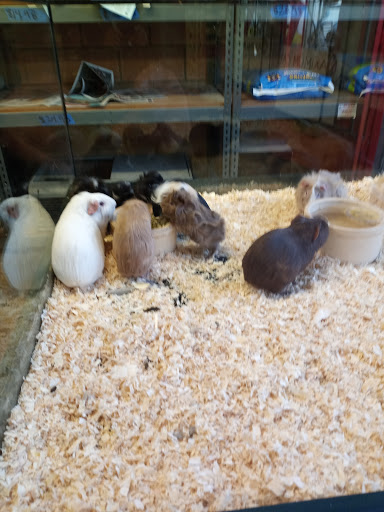 Animal Feed Store «Whittier Feed Store», reviews and photos, 12618 Penn St, Whittier, CA 90602, USA