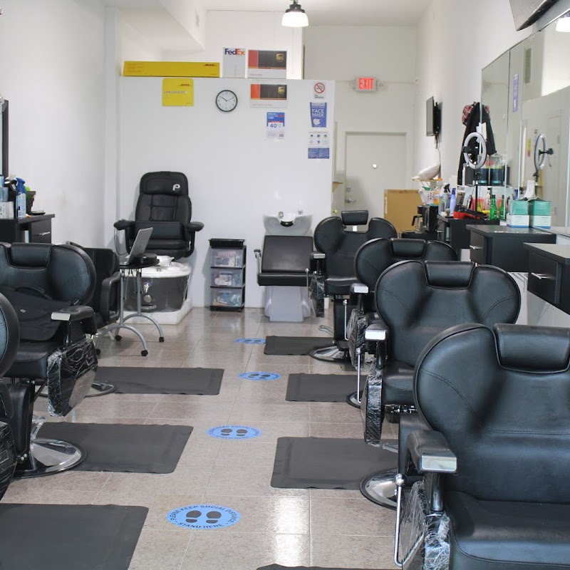 All Stars Grooming Salon & SPA Barbershop