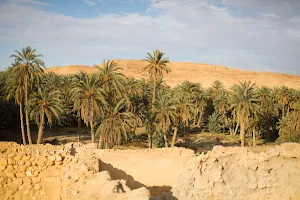 Mides Oasis image