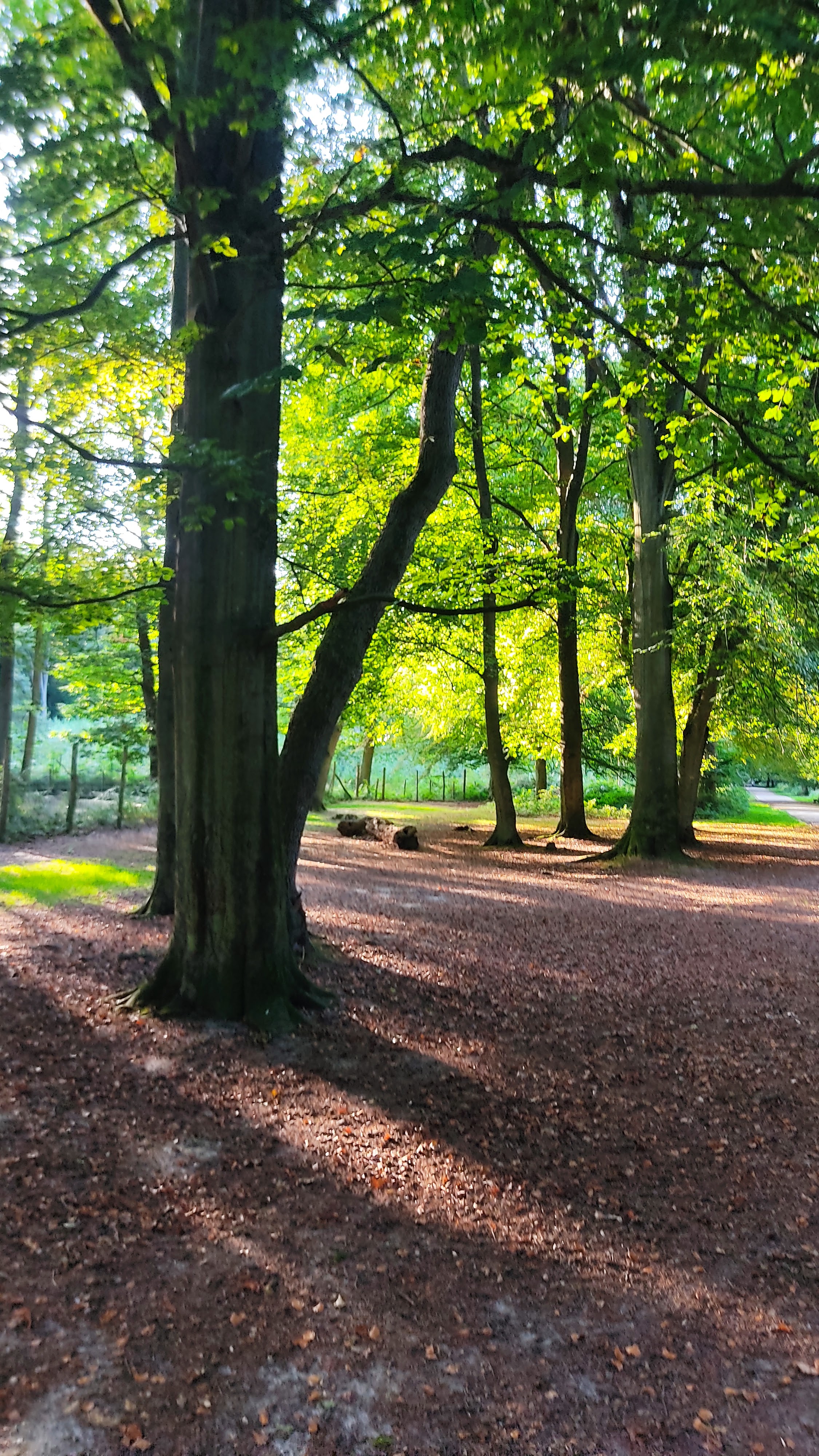 Photo n° 2 de l'avis de Elisabeth.e fait le 07/09/2023 à 17:57
