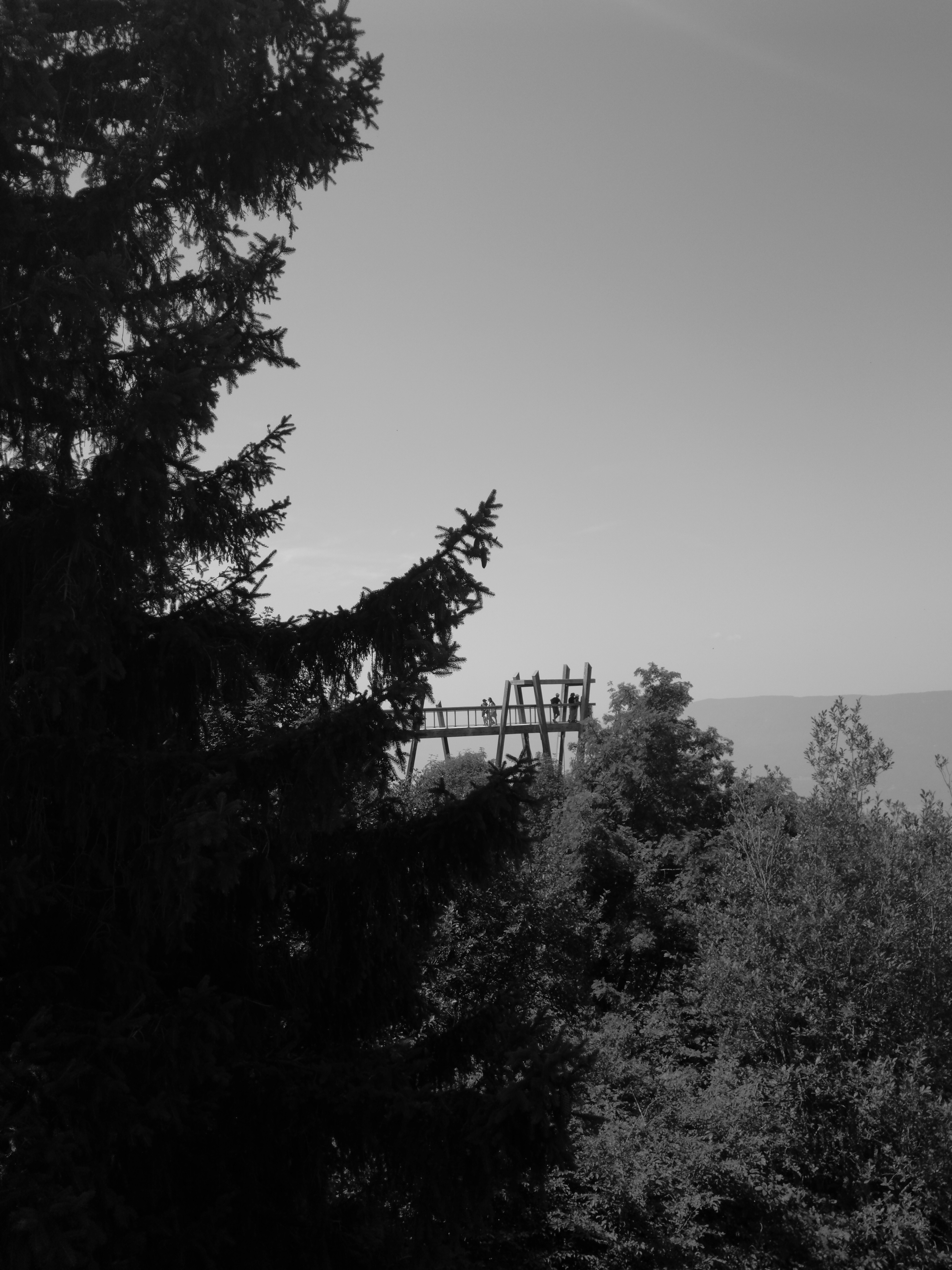 Photo n° 5 de l'avis de Alexandre.o fait le 13/08/2018 à 16:50