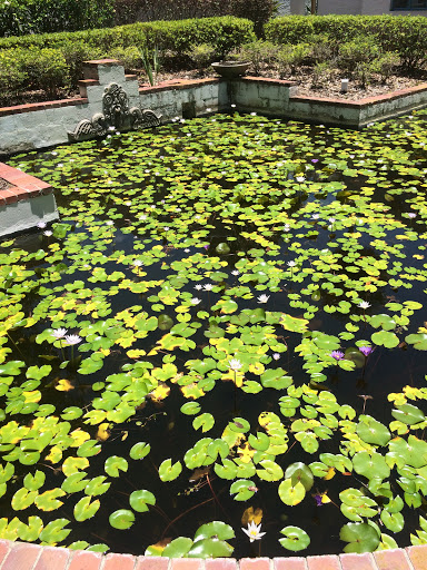 Non-Profit Organization «Art & History Museums - Maitland», reviews and photos, 231 W Packwood Ave, Maitland, FL 32751, USA