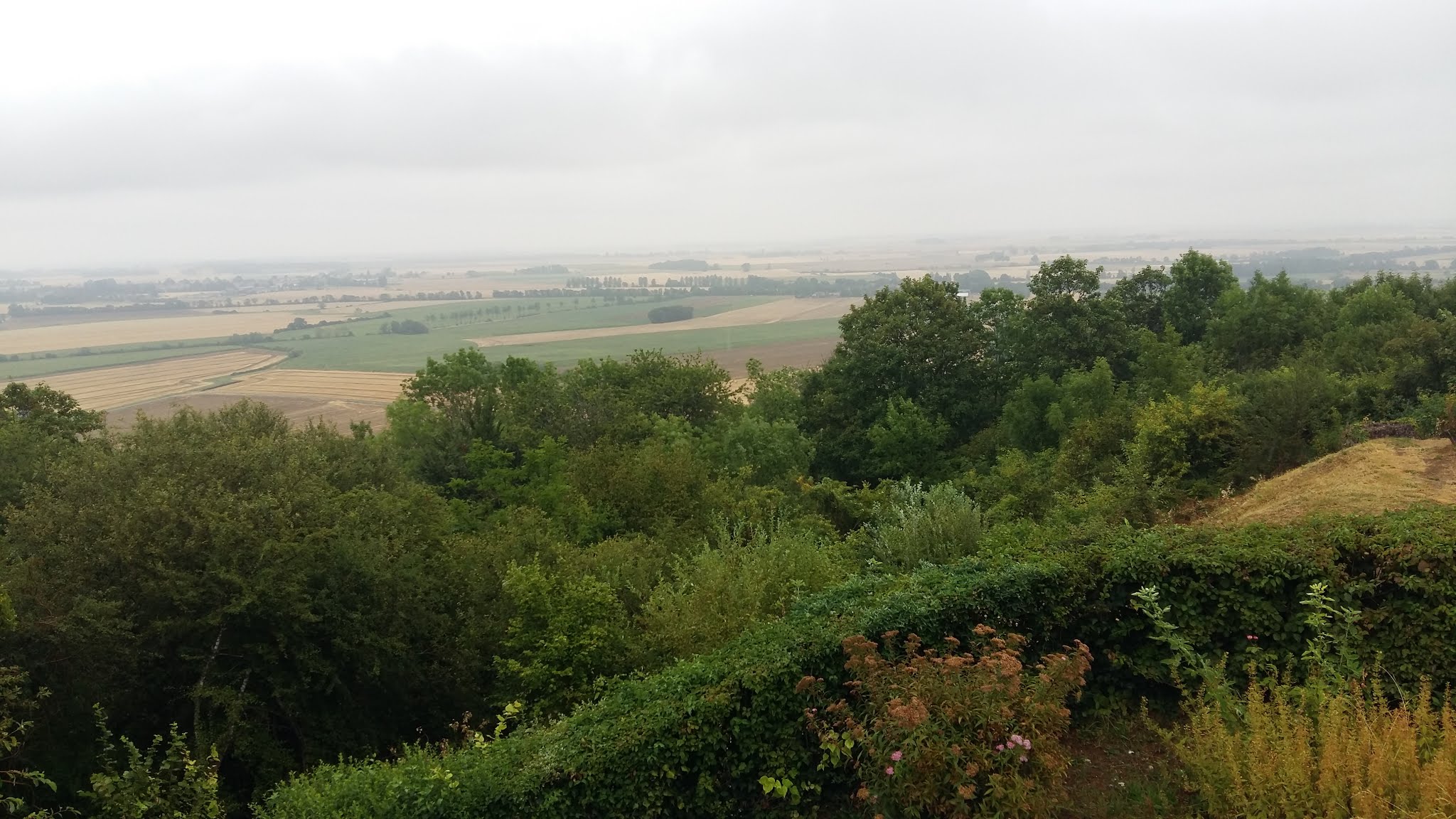 Photo n° 9 de l'avis de NB.. fait le 31/07/2019 à 15:31